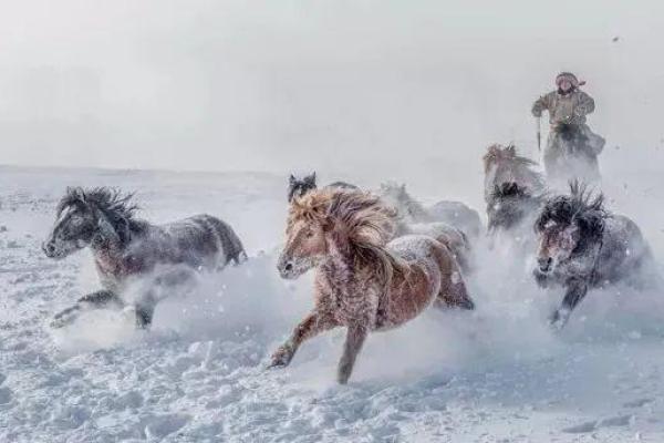 66年的马年命运解析：奔腾的韧性与珍贵的机遇