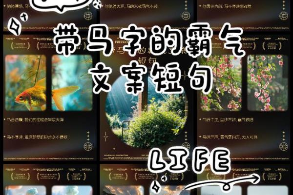 66年的马年命运解析：奔腾的韧性与珍贵的机遇