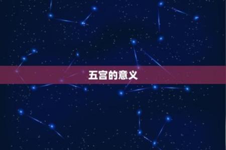 揭秘己酉年命格：探索命运与性格之间的奥秘