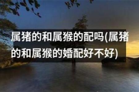 火猴命与属相婚配解析：最佳匹配的生肖组合