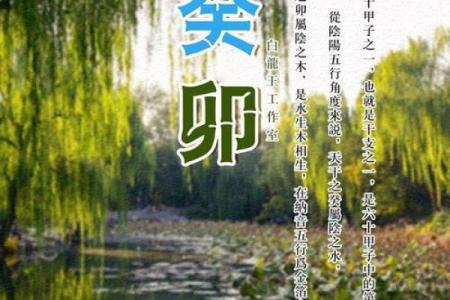 癸卯金箔金命：揭示命格缺失与补救之道的智慧之旅