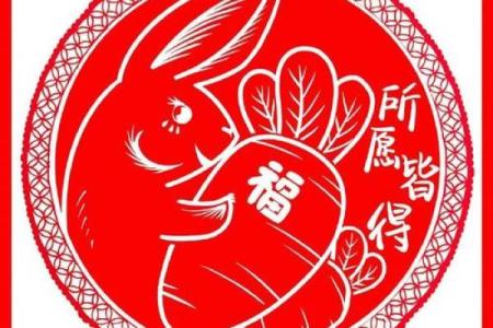 十年兔子命运解读：探寻兔年人群的独特性格与命理