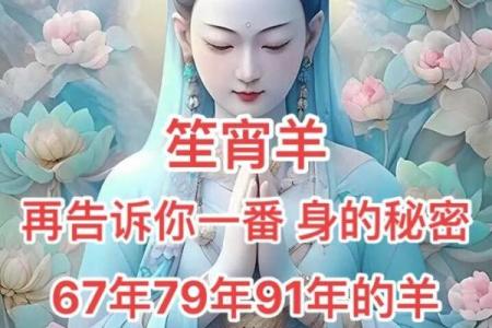 67年属羊的命运解析：温和性格与事业发展之路