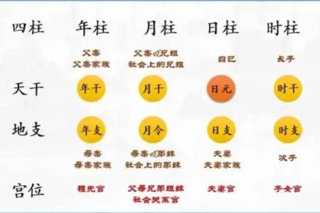 探索己巳年己巳月命理的奥秘与人生启示