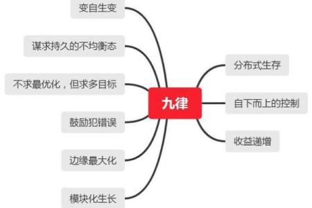 探索文化属性与命运的奇妙联系：命理与个性的独特交汇