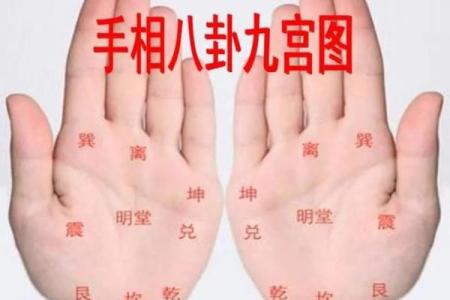探秘命理：一生白坎命与东四命的深刻内涵