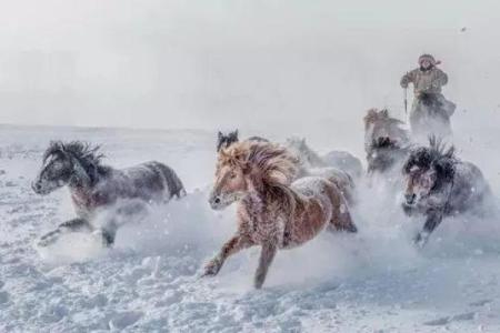 66年的马年命运解析：奔腾的韧性与珍贵的机遇