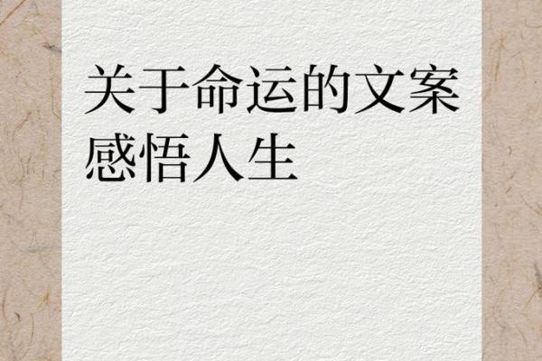 命运如同浮云，自在掌握人生精彩