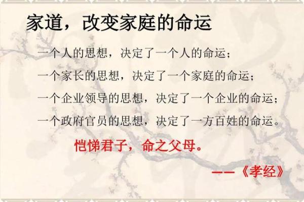 命运之道：探秘总格25的性格与人生轨迹