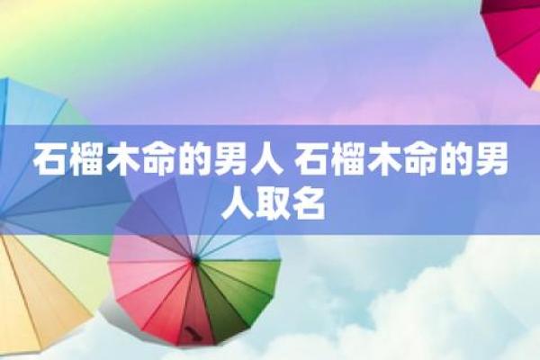 探索石榴木命之人适合的职业发展道路与潜力