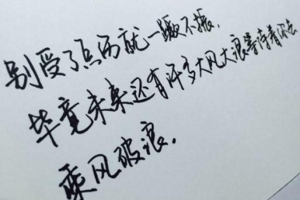 猪年出生的人命运解析：11月与23日的独特命运之道