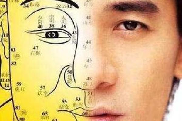 2003年羊命命理解析：解读温柔而坚韧的性格特征