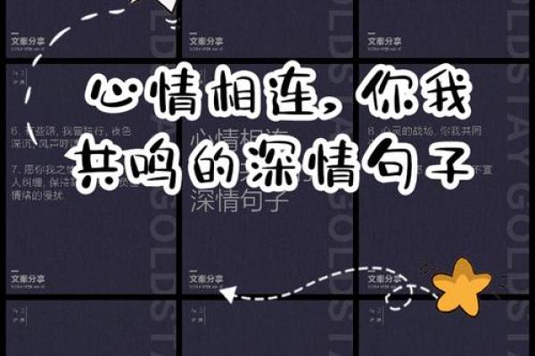 《爱你如命》:舒畅歌声中的深情表达与心灵共鸣 《爱你如命》:舒畅歌声中的深情表达与心灵共鸣