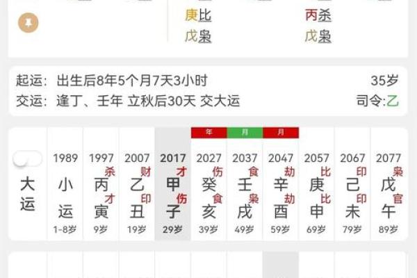 探寻己巳年生人的命理特征与人生启示