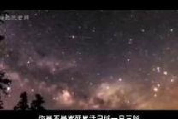 探寻1962年出生者的命运与性格特点