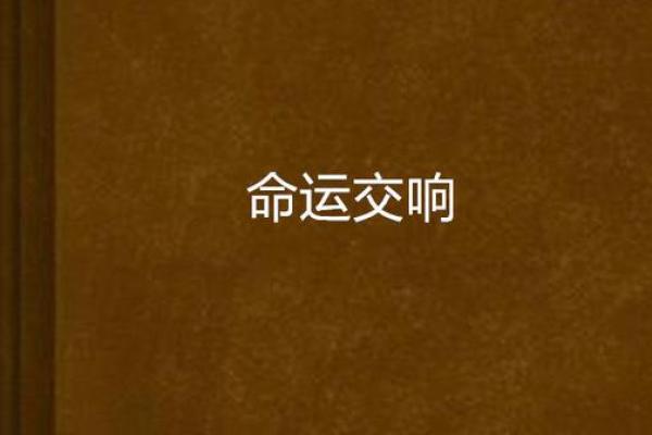 命运的交响曲：命什么大什么，成语接龙的旅程