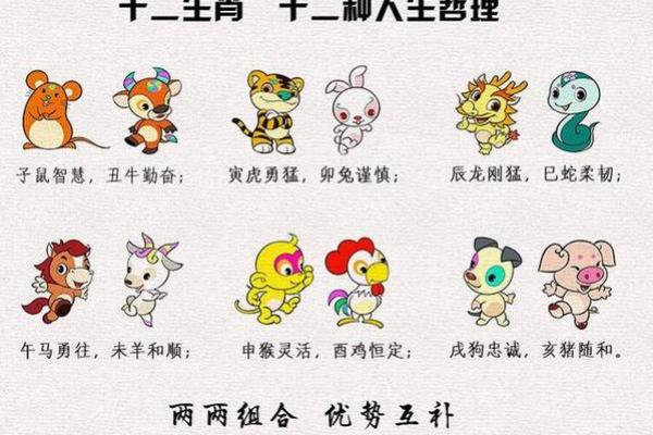 命理与生肖：哪些生肖在命字的指导下更具优越性？