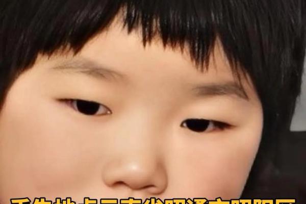 11月03日出生者的命运与个性揭秘 11月03日出生者的命运与个性揭秘