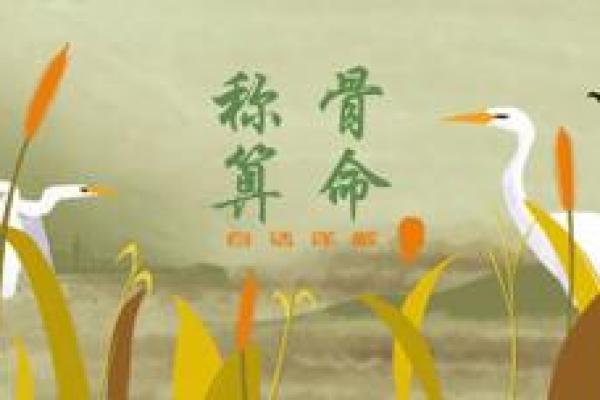 探寻命理密码：36岁甲子之年揭示的命运玄机