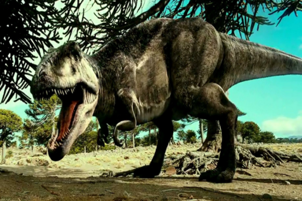 41岁属大龙,揭示命运与性格的奥秘! 41岁属大龙,揭示命运与性格的奥秘!