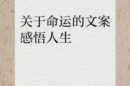 命运如同浮云，自在掌握人生精彩