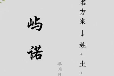 火命女孩取名指南：赋予她独特魅力与活力的名字