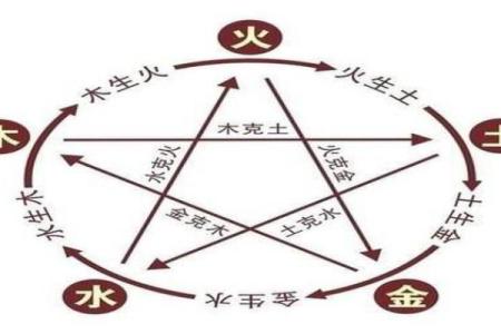 揭秘山头火与猪的命格：探索命理与动物灵性的深奥关系