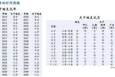 解密命理数字：如何运用命理数在金融领域获得成功