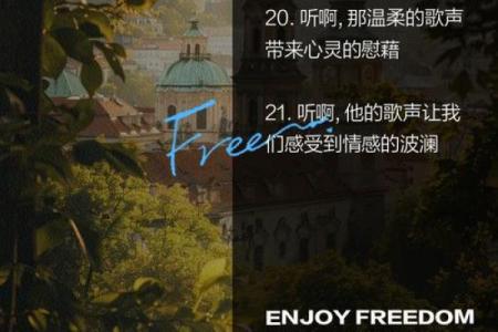 《爱你如命》：舒畅歌声中的深情表达与心灵共鸣