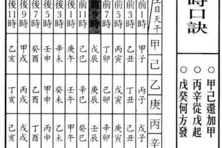 探寻己巳年生人的命理特征与人生启示