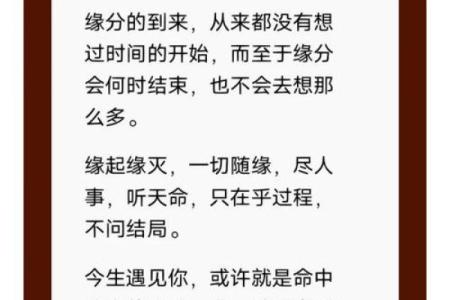 命中注定：她与军人的缘分如何成就一段传奇爱情