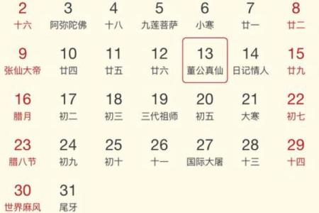 1995年11月出生的人命运解析与人生指导