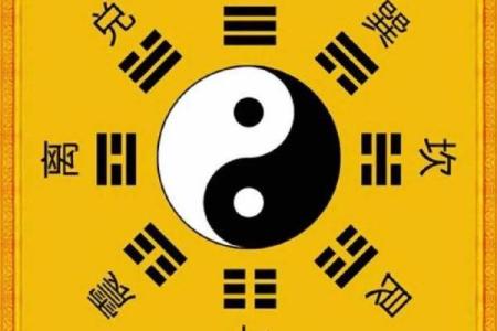 探寻丁卯癸丑乙亥己卯命理之美，揭示人生启示与智慧