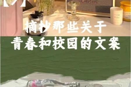 探寻“少年命”：青春的意义与生命的选择