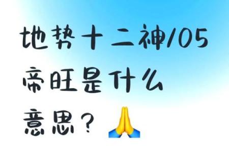 探寻丁丑丁未辛酉戊戌命理的奥秘，揭示人生的智慧与机遇