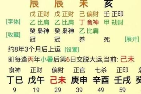 木命与属相相配：如何找到最佳的命理伴侣