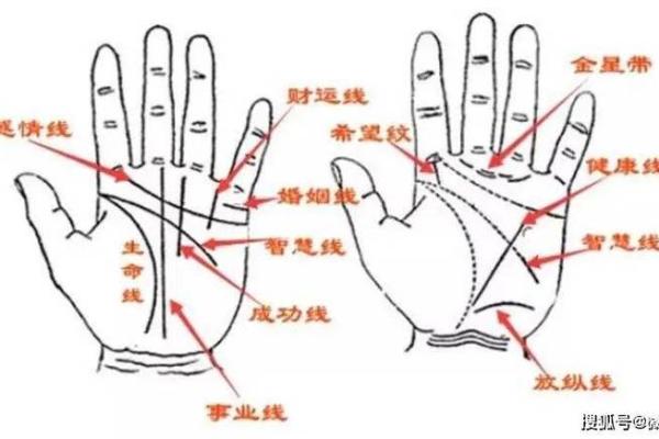 提升财运：从命盘看哪些人注定富贵