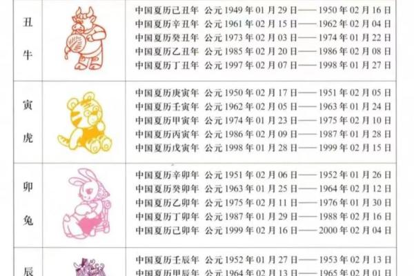 探寻2023癸卯年：命理解析与人生启示