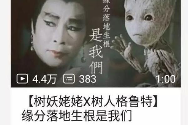 男女桃花命的秘密：缘分与运势的奇妙交织