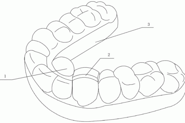 23颗牙齿的命运:牙齿与人生的奇妙关联 23颗牙齿的命运:牙齿与人生的奇妙关联