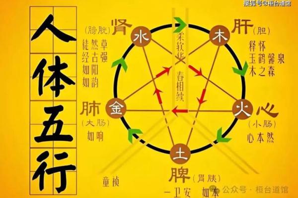 辛金命的人适合什么颜色？探寻五行之美与色彩的关系