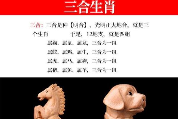 揭秘“少命”之谜：这究竟是哪一生肖的象征？