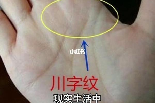 手相揭秘：通过掌纹洞悉你的人生轨迹与命运之谜