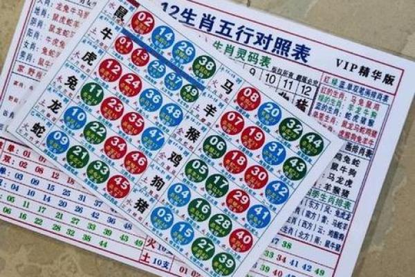 2020年属鼠人命理解析：水命的智慧与挑战分享