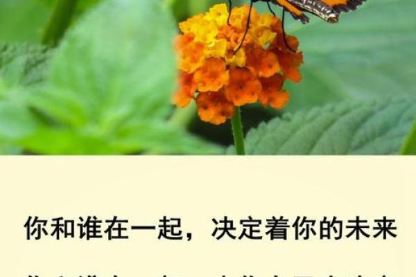 年轻朋友的命运走向：探秘个性与未来的奥秘