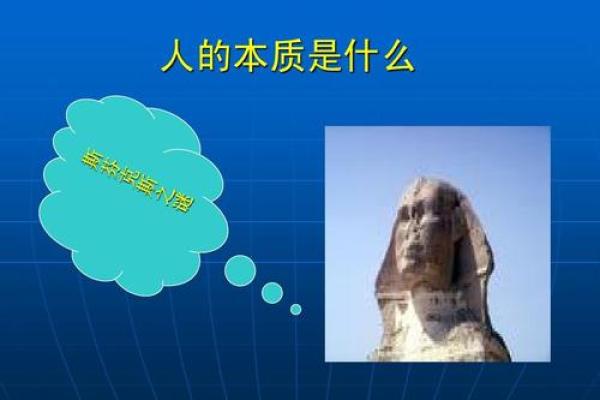 《命的字源与深意：探寻生命的真谛与内涵》