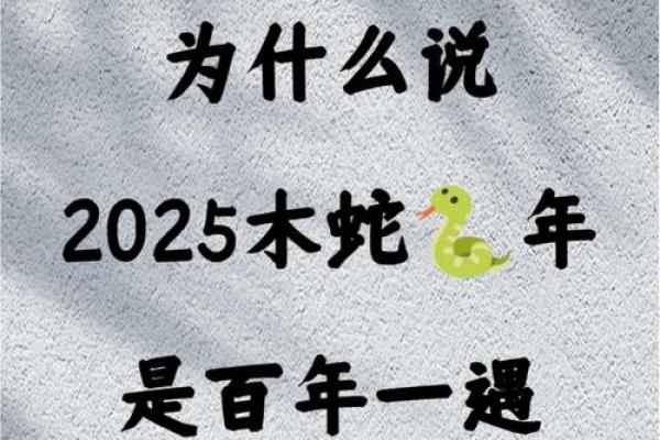 蛇年命理与五行缺失：探寻平衡的智慧之道