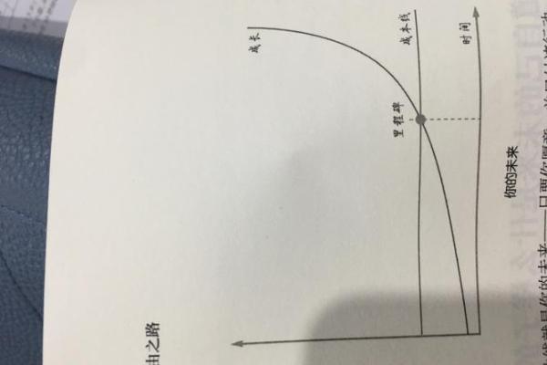 金命之人适合的生意项目探析：从五行角度看财富之路