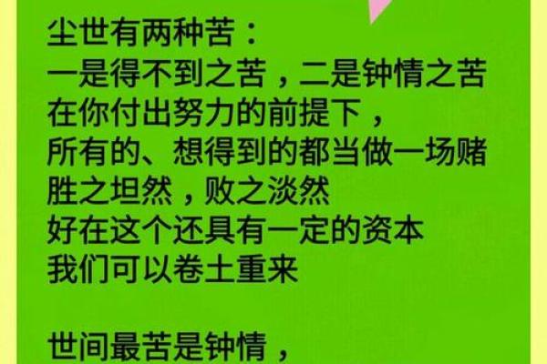 50岁属狗的人命运解析：在不同人生阶段的精彩与挑战