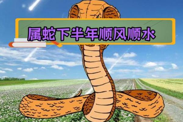 2025年蛇年命运解析：你必须知道的运势与人生机遇！